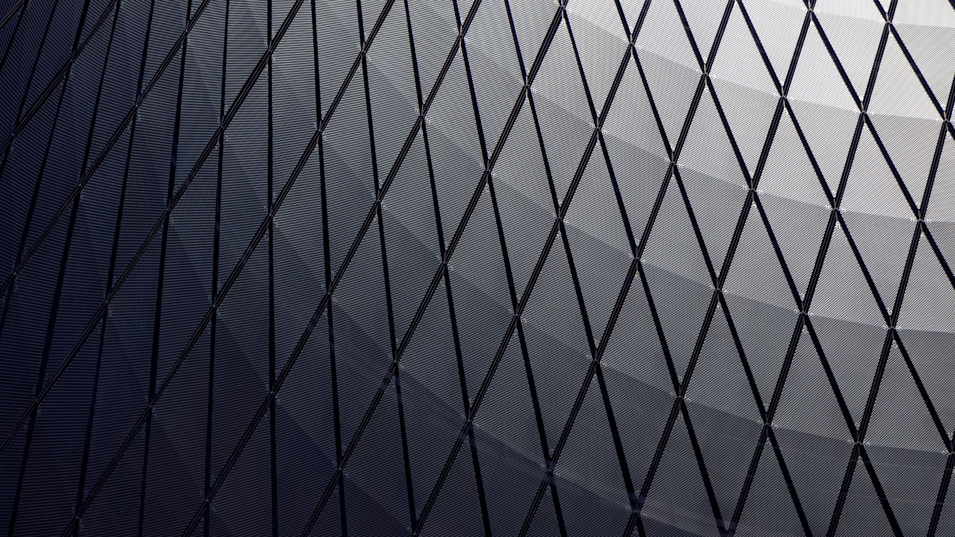A dark lattice of steel and glass